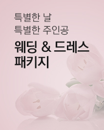 웨딩 드레스 패키지